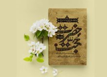 معرفی کتاب پیرامون حضرت ولی عصر