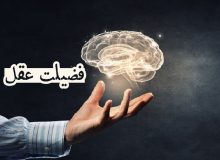 فضیلت عقل از منظر حضرت علی بن‌موسی الرضا(علیه السلام)