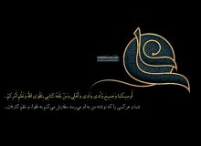 پیام مولا از بستر شهادت(۲)